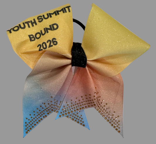 Youth Summit Bow